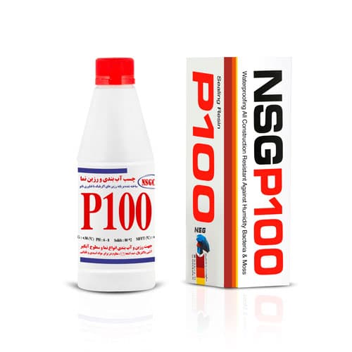 P100-300cc.jpg
