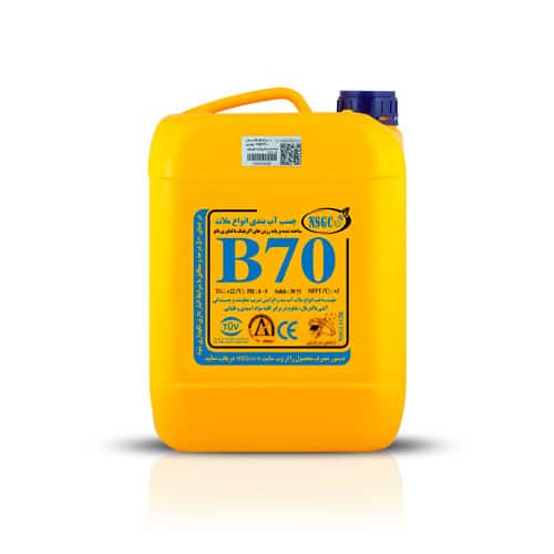B70-10L.jpg