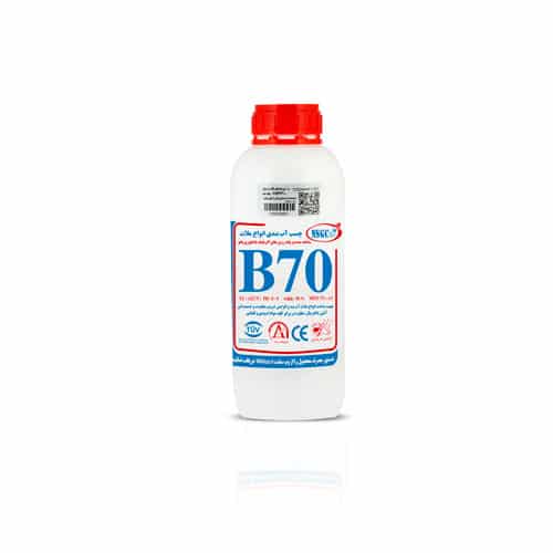 B70-1L.jpg