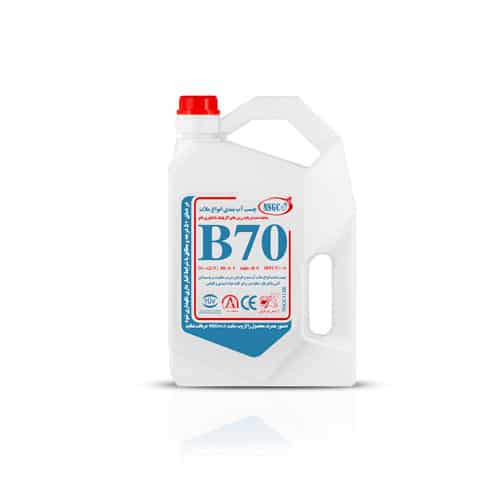 B70-4L.jpg