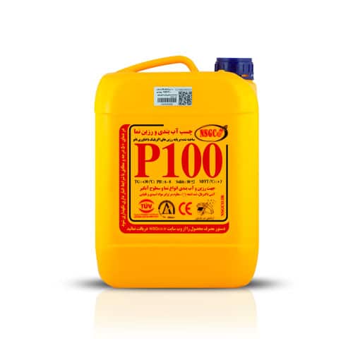 P100-10L.jpg