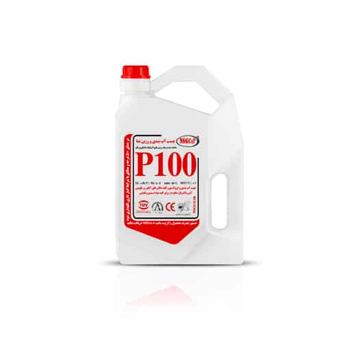 P100-4L.jpg
